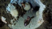 small photos on the bottom